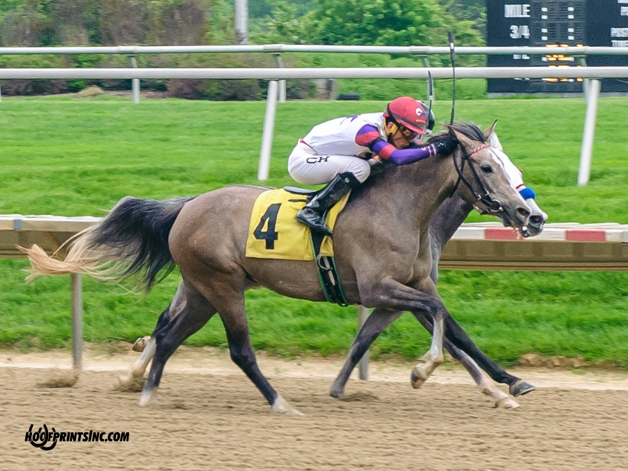 Iridesse winning at Delaware Park on 5/4/19